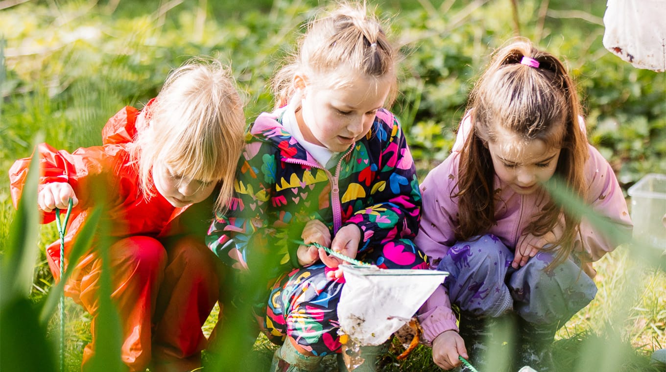 3 children collecting pond insects